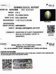 4.56/CT Natural Chrysoberyl Cat's Eye with Govt. Lab Certificate (6771)