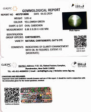 3.65/CT Natural Chrysoberyl Cat's Eye with Govt. Lab Certificate (6771)