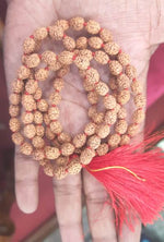 Load image into Gallery viewer, FOUR MUKHI RUDRAKSHA MALA (3400)
