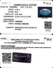 22.90/CT Natural Govt. Lab Certified Turquoise (1221)