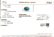 7.67/CT Natural Govt. Lab Certified Turquoise (1221)