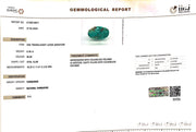 6.36/CT Natural Govt. Lab Certified Turquoise (1221)