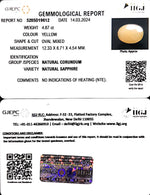 Load image into Gallery viewer, 4.87/CT Natural Ceylonese Pukhraj with Govt Lab Certificate-4551
