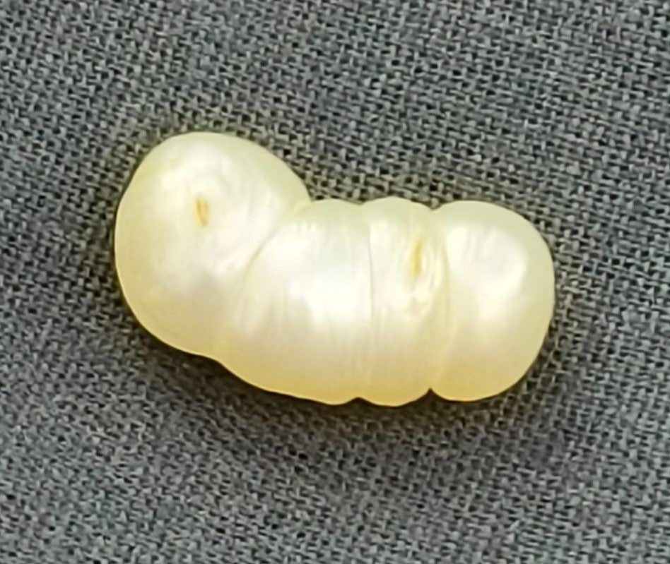 10.12/CT Natural Basra Pearl with Govt. Lab Certificate (58000)