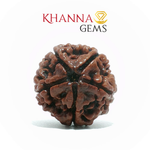 Load image into Gallery viewer, 5 MUKHI NEPALI RUDRAKSHA (BIG BEADS)