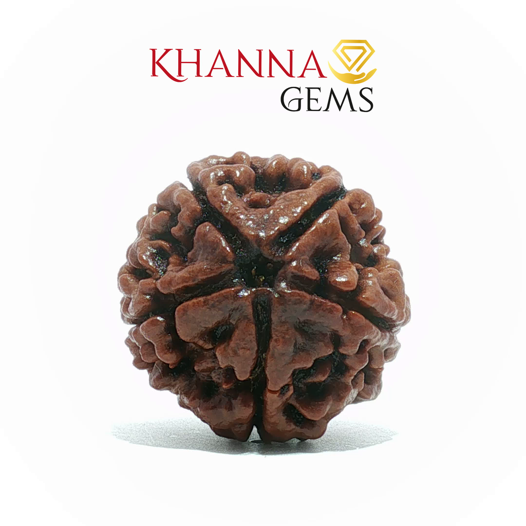 5 MUKHI NEPALI RUDRAKSHA (BIG BEADS)
