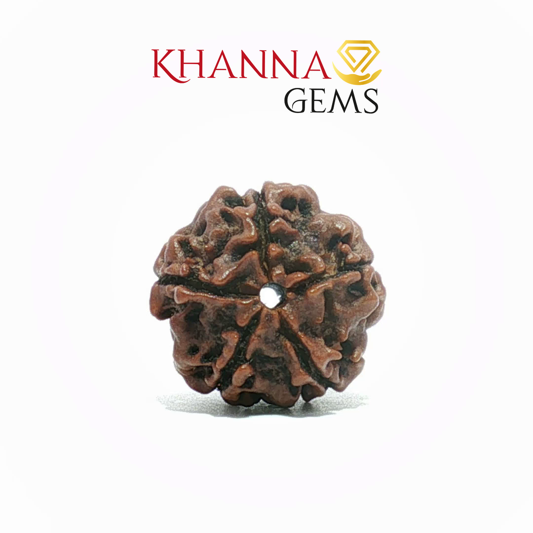 5 MUKHI NEPALI RUDRAKSHA