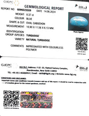 8.17/CT Natural Govt. Lab Certified Turquoise-1221