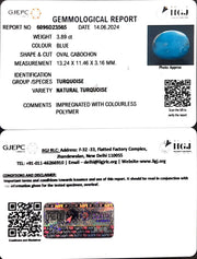 3.89/CT Natural Govt. Lab Certified Turquoise-1221