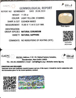 Load image into Gallery viewer, 11.09/CT Natural Ceylonese Pukhraj with Govt Lab Certificate-2331
