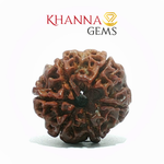Load image into Gallery viewer, 6 MUKHI NEPALI RUDRAKSHA