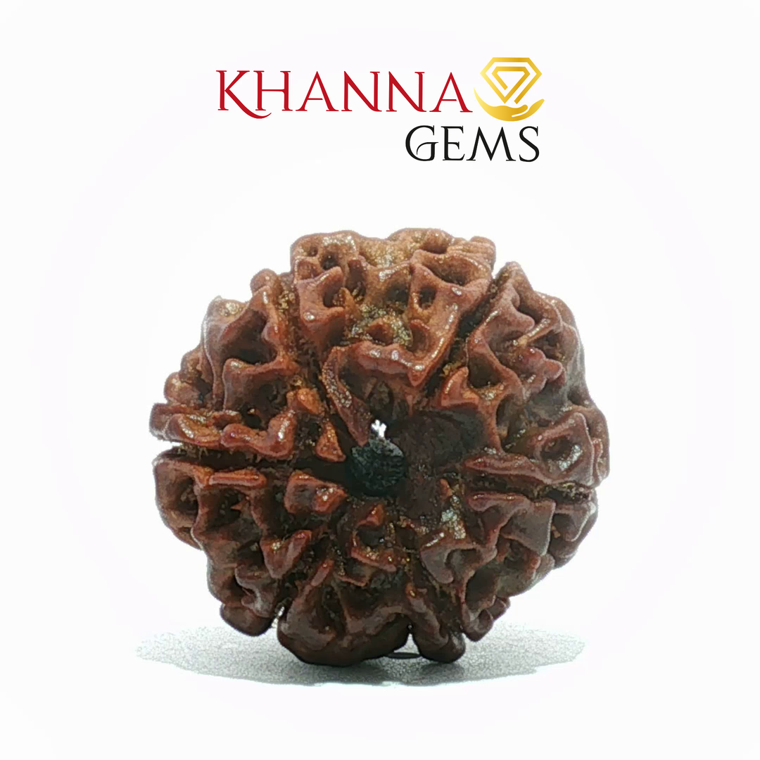 6 MUKHI NEPALI RUDRAKSHA