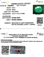 6.69/CT Natural Panna Stone with Govt. Lab Certificate-3441