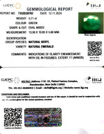 Load image into Gallery viewer, 5.71/CT Natural Panna Stone with Govt. Lab Certificate-4551
