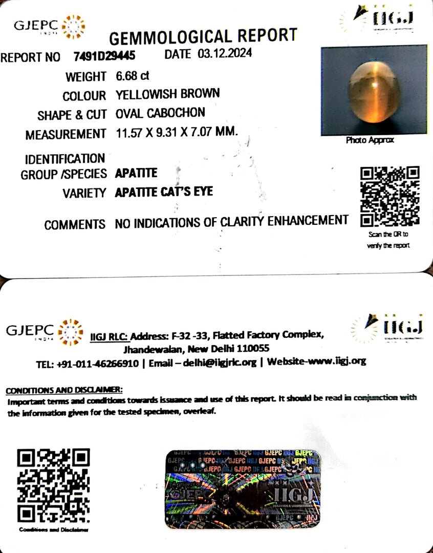 6.68/CT Natural Apatite Cat's Eye With Govt. Lab Certificate-7491D29445