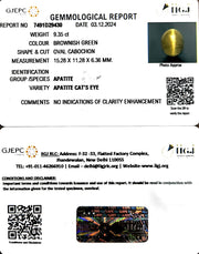 9.35/CT Natural Apatite Cat's Eye with Govt. Lab certificate-1221