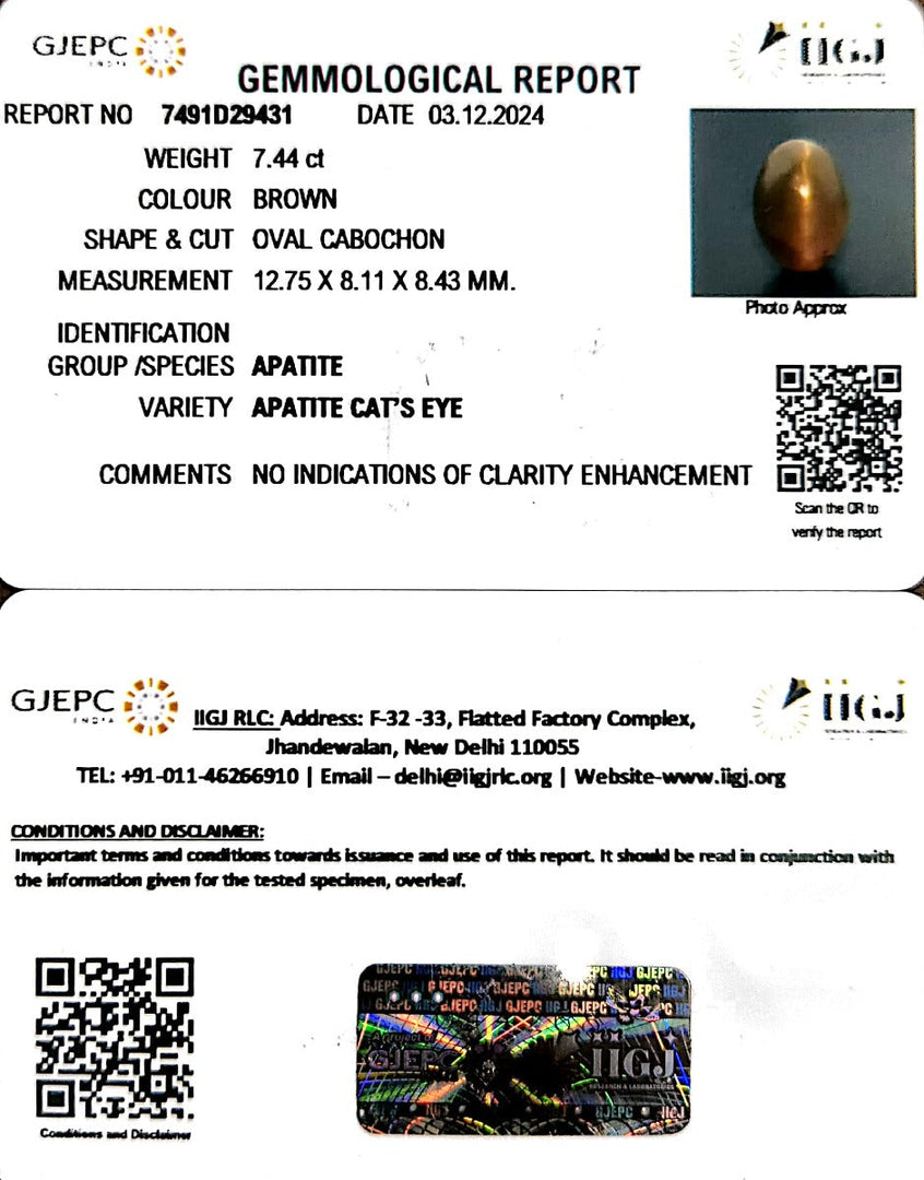 7.44/CT Natural Apatite Cat's Eye with Govt. Lab certificate-1221