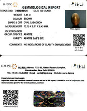 7.44/CT Natural Apatite Cat's Eye with Govt. Lab certificate-1221