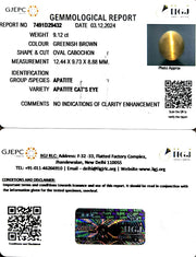 9.12/CT Natural Apatite Cat's Eye with Govt. Lab certificate-1221