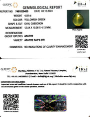 4.59/CT Natural Apatite Cat's Eye with Govt. Lab certificate-1221