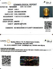 5.87/CT Natural Apatite Cat's Eye with Govt. Lab certificate-1221