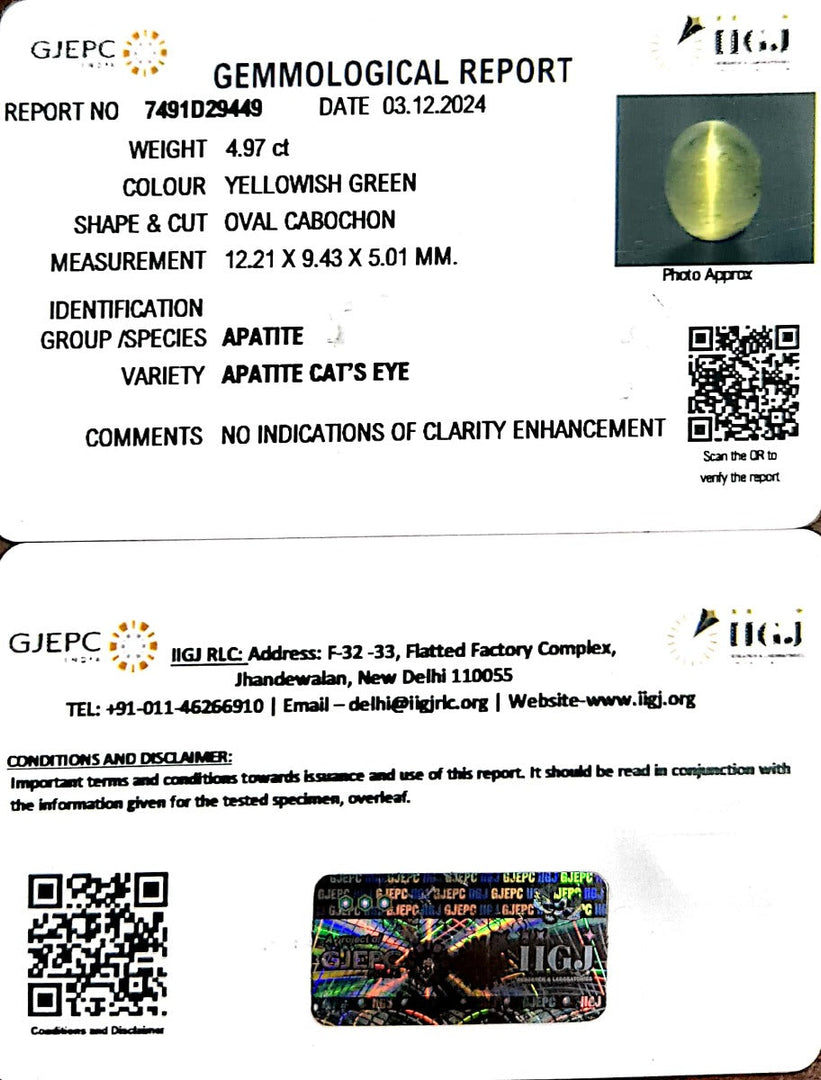 4.97/CT Natural Apatite Cat's Eye with Govt. Lab certificate-1221