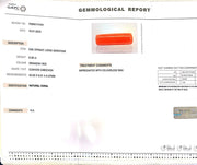 8.28/Carat Natural Red Coral (1800)