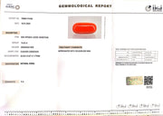 14.22/Carat Natural Italian Red Coral (2100)