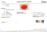 Load image into Gallery viewer, 13.19/Carat Natural Red Coral (2100)
