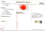 Load image into Gallery viewer, 11.63/Carat Natural Red Coral (2100)
