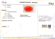 12.00/Carat Natural Red Coral (2100)