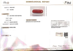 Load image into Gallery viewer, 6.34/Carat Natural Cylindrical Red Coral-1800
