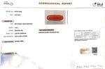 Load image into Gallery viewer, 7.08/Carat Natural Cylindrical Red Coral (1800)
