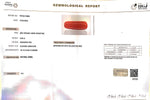 Load image into Gallery viewer, 6.92/Carat Natural Cylindrical Red Coral (1800)
