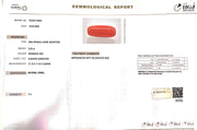 6.25/Carat Natural Cylindrical Red Coral (1500)