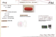 6.34/CT Natural Red Coral With Govt. Lab Certificate