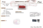 Load image into Gallery viewer, 6.17/Carat Natural Cylindrical Red Coral-1200
