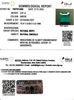 Load image into Gallery viewer, 3.87/CT Natural Panna Stone with Govt. Lab Certificate-16650
