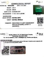 Load image into Gallery viewer, 3.92/CT Natural Panna Stone with Govt. Lab Certificate-6771
