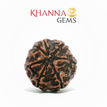 Load image into Gallery viewer, 7 MUKHI NEPALI RUDRAKSHA (BIG BEADS)