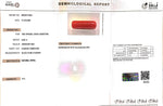 Load image into Gallery viewer, 8.79/Carat Natural Cylindrical Red Coral (1800)
