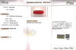 Load image into Gallery viewer, 8.64/Carat Natural Cylindrical Red Coral (1800)
