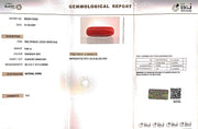 8.64/Carat Natural Cylindrical Red Coral (1800)