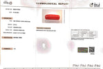Load image into Gallery viewer, 8.78/Carat Natural Cylindrical Red Coral (1800)
