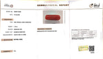 Load image into Gallery viewer, 7.19/Carat Natural Cylindrical Red Coral (1800)
