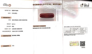 6.61/Carat Natural Cylindrical Red Coral (1800)