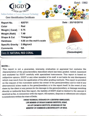 5.08/CT Natural Triangular Red Coral-1054