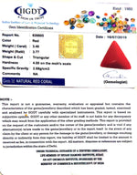 Load image into Gallery viewer, 3.78 Ratti Italian Red Coral-(1054)
