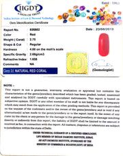 Natural italian Moonga