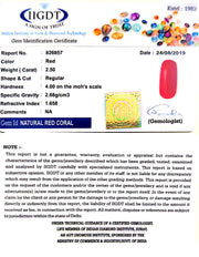 Natural Italian Moonga